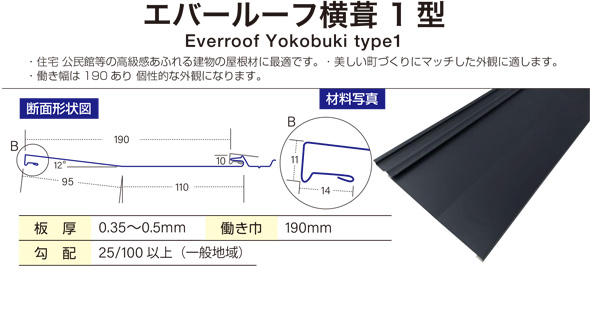 エバールーフ横葺１型